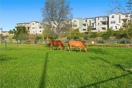 361 Gelding Way