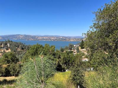 10009 Point Lakeview Road