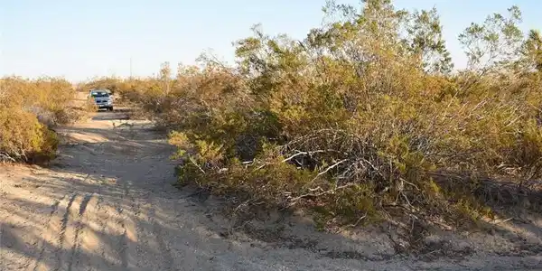 Image 4