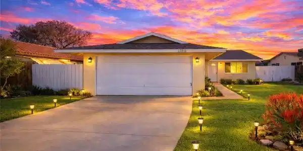 27335 Peach Tree