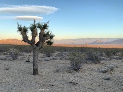 0 VL Near Lucerne Valley Cutoff