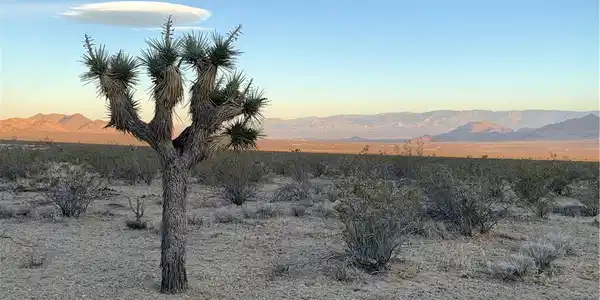 0 VL Near Lucerne Valley Cutoff