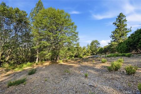 9003 Fox Drive