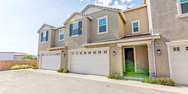 1705 Almond Tree
