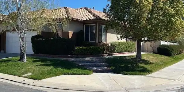 5888 Orange Tree