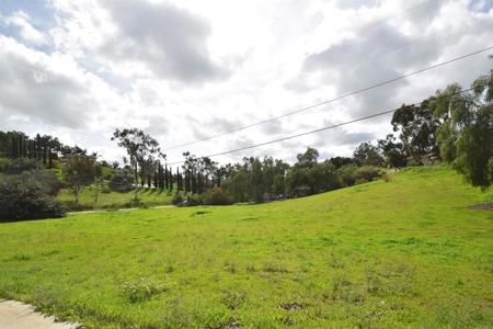 14390 Lyons Valley Road