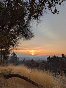 4548 Triangle Road