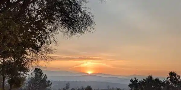 4548 Triangle Road