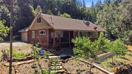 40 White Fir