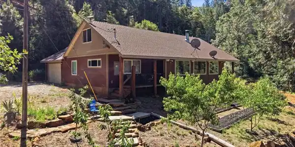 40 White Fir