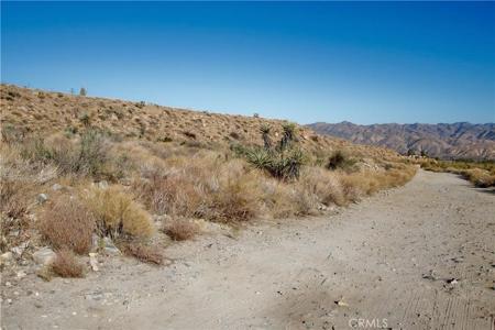 5821711 BIG MORONGO CANYON RD