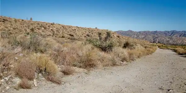5821711 BIG MORONGO CANYON RD