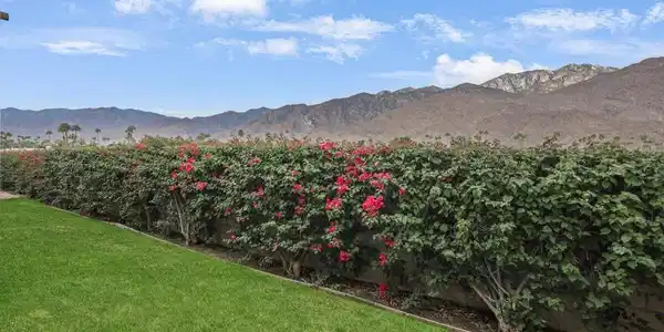 1655 E Palm Canyon Drive