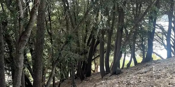 0 Delle Drive