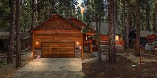 41971 Tamarack