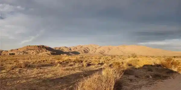 0 Del Oro