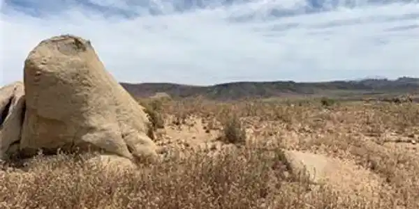 53102 Geronimo Trail