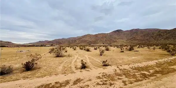 26000 Las Piedras
