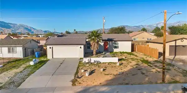 13163 Cactus