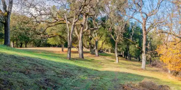 36 Arroyo Sequoia (Lot 117)