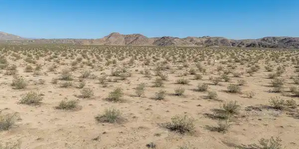 0 California