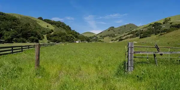 100 Old Stage Rd