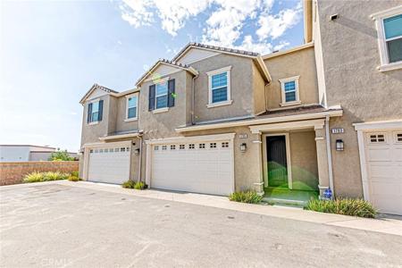 1705 Almond Tree