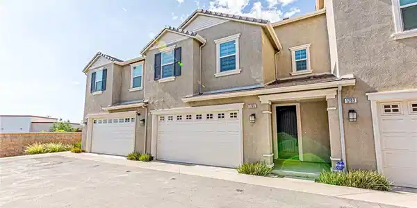 1705 Almond Tree