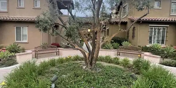 1117 Patel Place