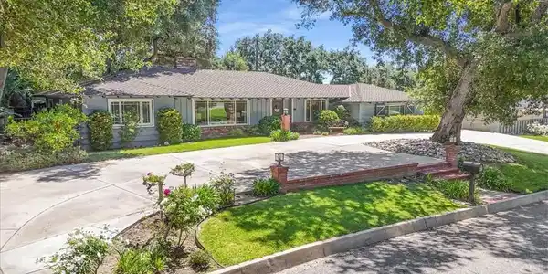 336 Oak Tree