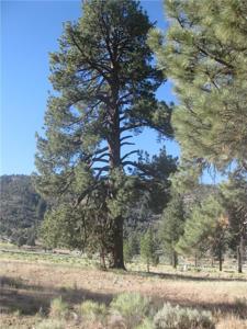 2824 Erwin Ranch Road