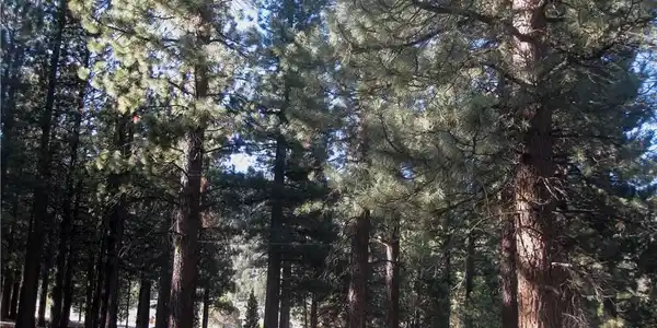 2818 Erwin Ranch Rd