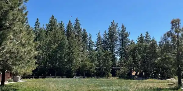 0 Pinto Court