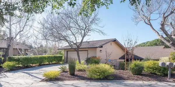 11 Susan Gale Court