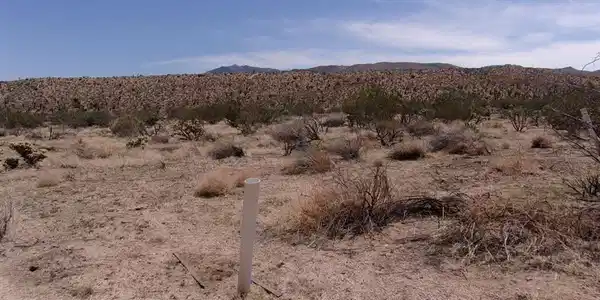 0 Ocotillo Way