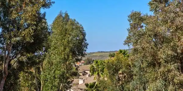 32036 Del Cielo Oeste