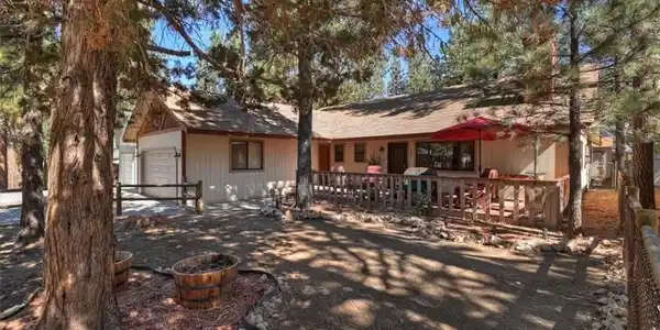 1064 Pine