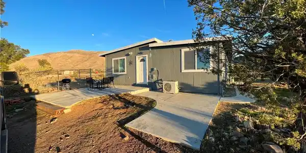 20240 Juniper