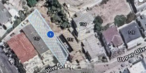 151 Olive St.