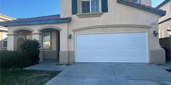 15341 Palm Leaf
