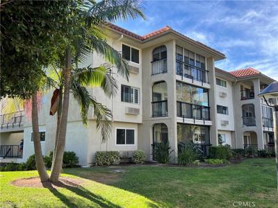 3243 San Amadeo
