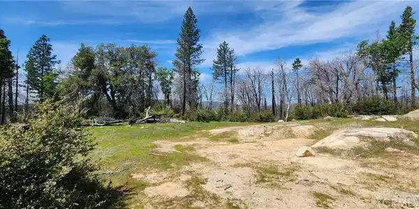 51 Horseshoe Trail