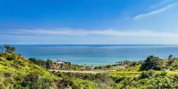 4421 Avenida De La Encinal