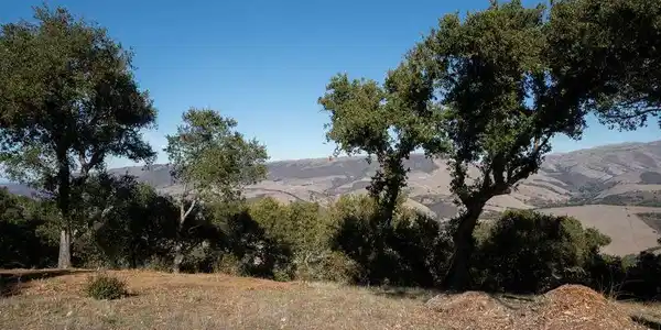 17114 Cachagua Road