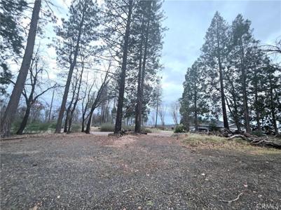 13534 West Park Drive