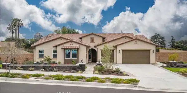 1010 Juniper