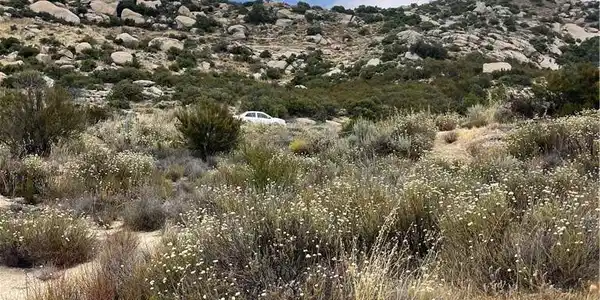 8 Old Highway # 8