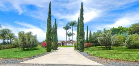 1177 Estee Court