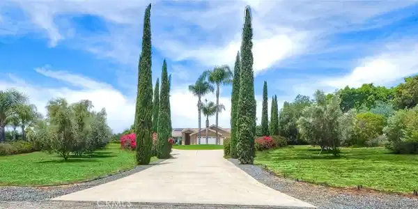 1177 Estee Court