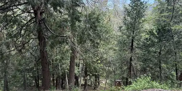 0 Alpine Court